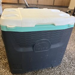Igloo Cooler