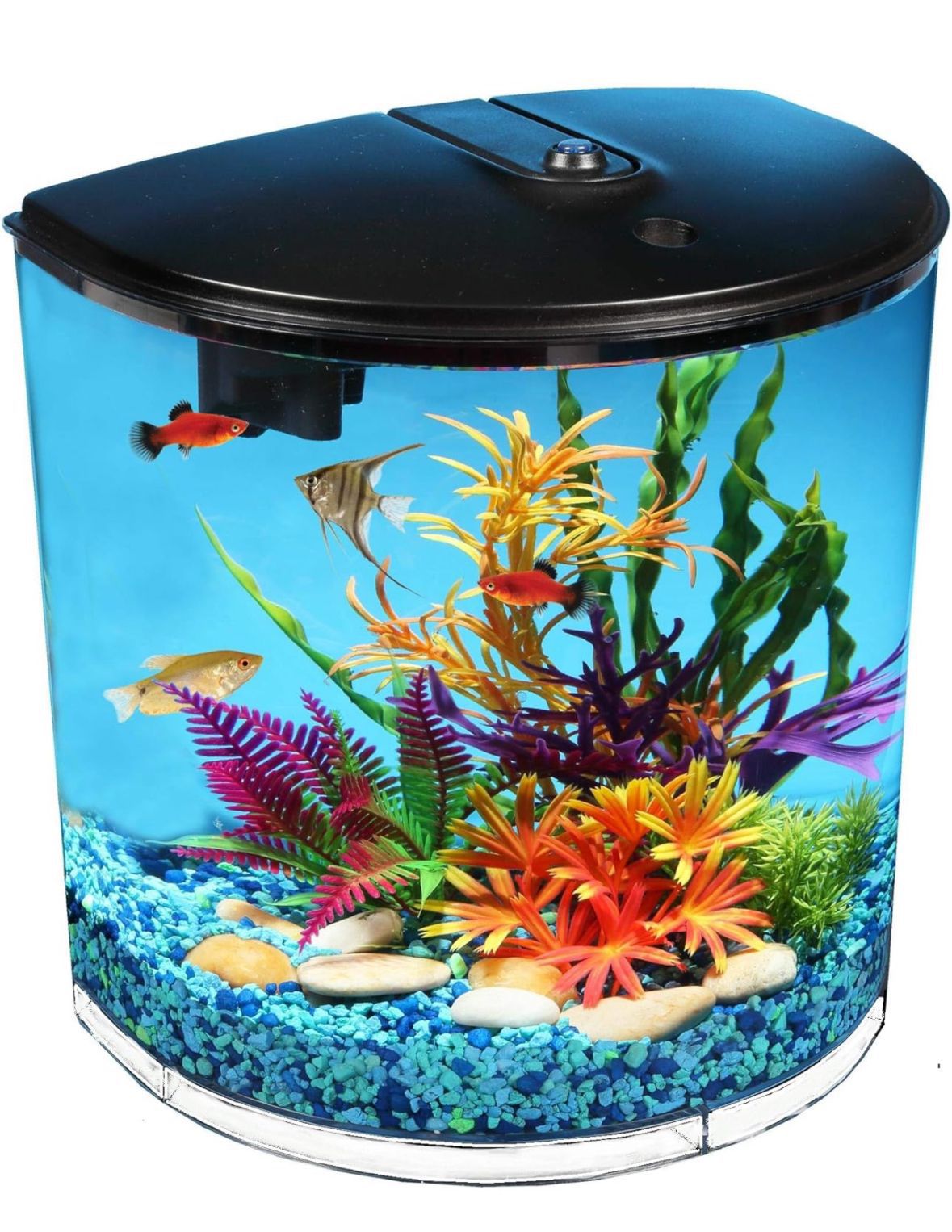 Aquarium Fish Tank 3.5 Gallon With Free Accessories Like New 