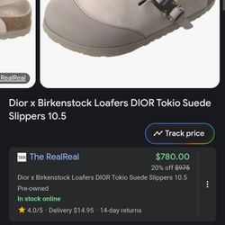 Dior Birkenstock 