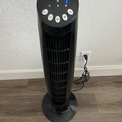 Fan