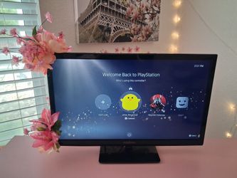 Tv monitor / Flowers on the side of TV