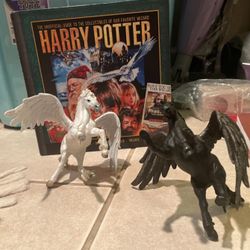 Harry Potter lot