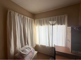 Window curtains