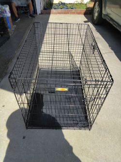 Dog 🐩 cage XL