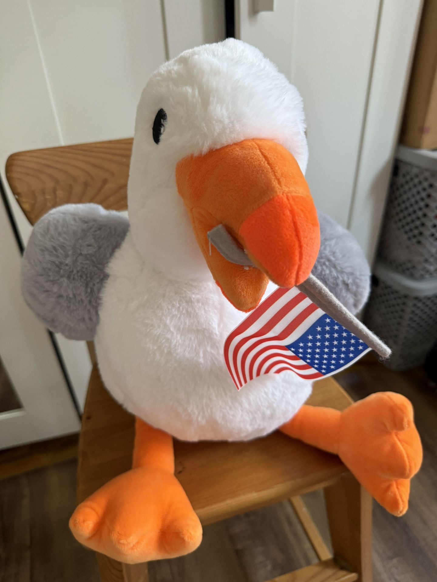 20 Inc Seagull