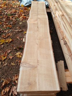 Cedar live edge slab