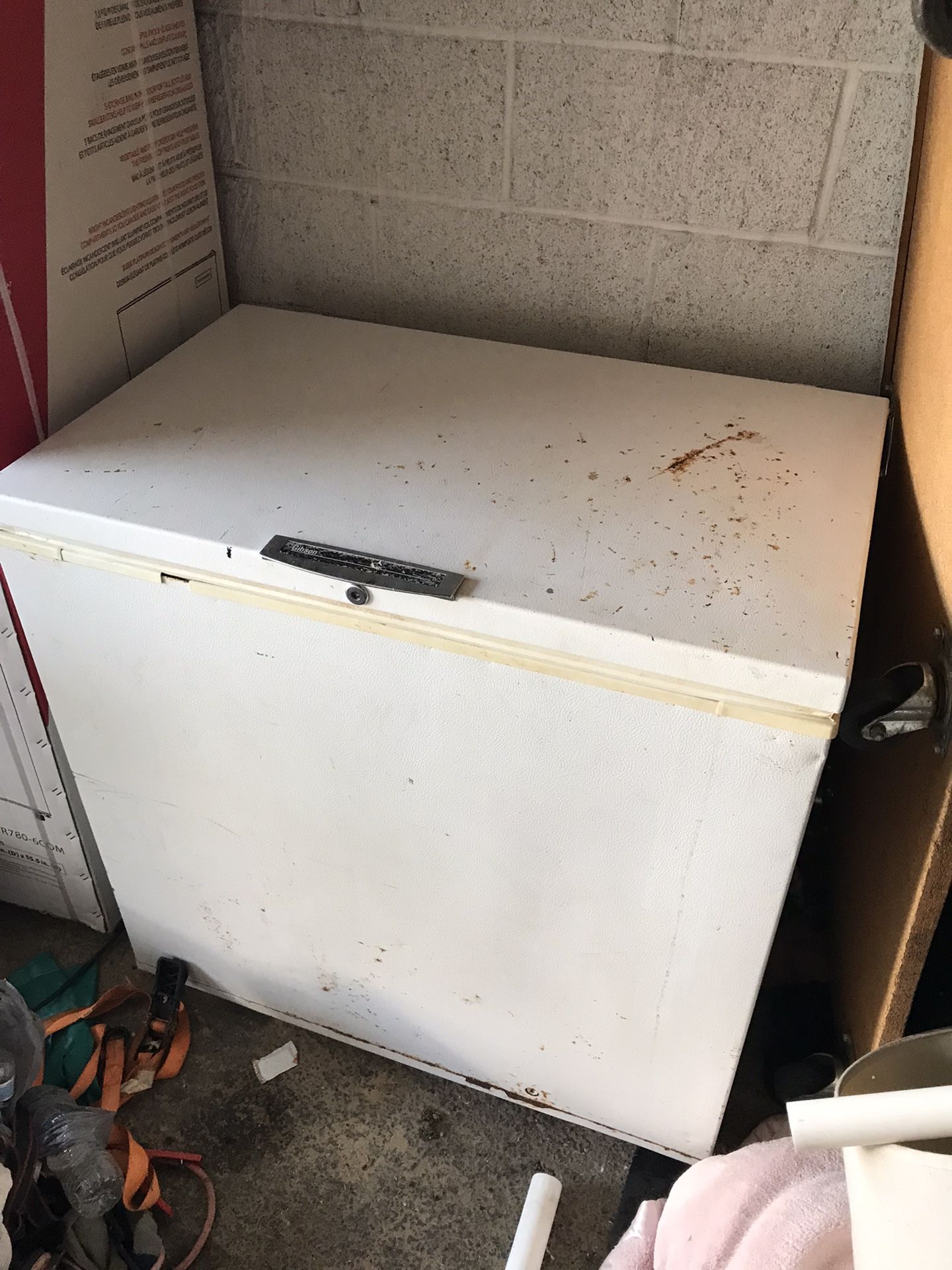 Chest Freezer…can Deliver 
