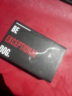 Dog Shock Collar for Dogs (5-120lbs) 3300FT Dog Training Collar with Remote,