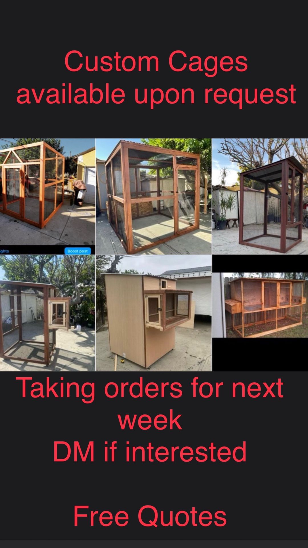 Bird Cage  / Catio / Kennel 