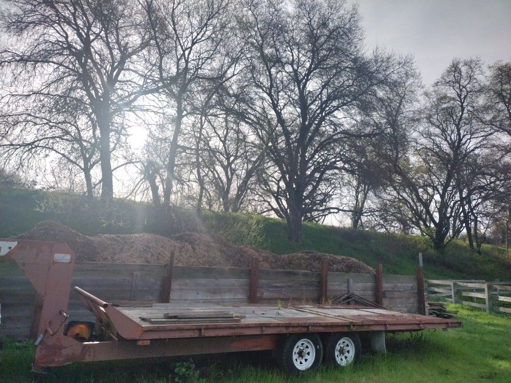 Free Horse Manure for Fertilizer