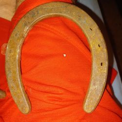 2 Horshoes Dimond  Hot Forged