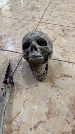 Halloween skeleton decoration