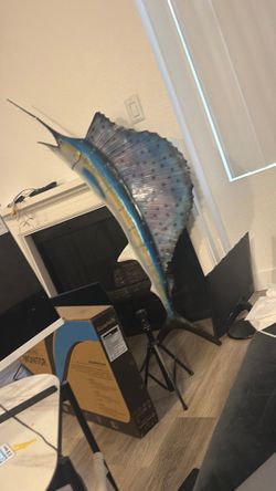 60 inch sailfish
