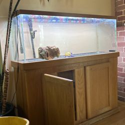 55gallon Tank 