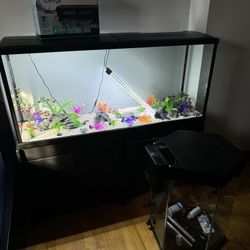 2 FISH TANKS (55gallon) (20gallon)