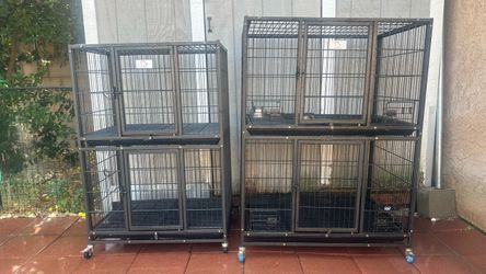 Dog supplies