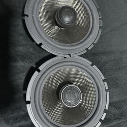Nemesis Audio 6.5