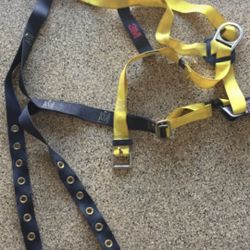 Safety Belt / Used 