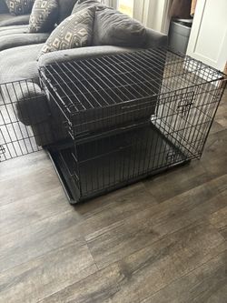 Large Kennel