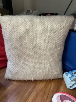 Pottery Barn Pillow Case w/insert