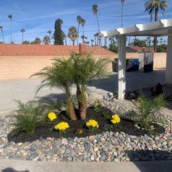 Sod, Sprinklers, Decorative Rocks, Artificial Grass.