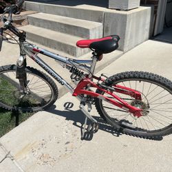 Schwinn Bike S40DSX