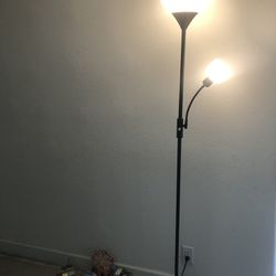 2 head 2 bulb floor lamp-modern