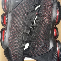 Size 11 Lebrons