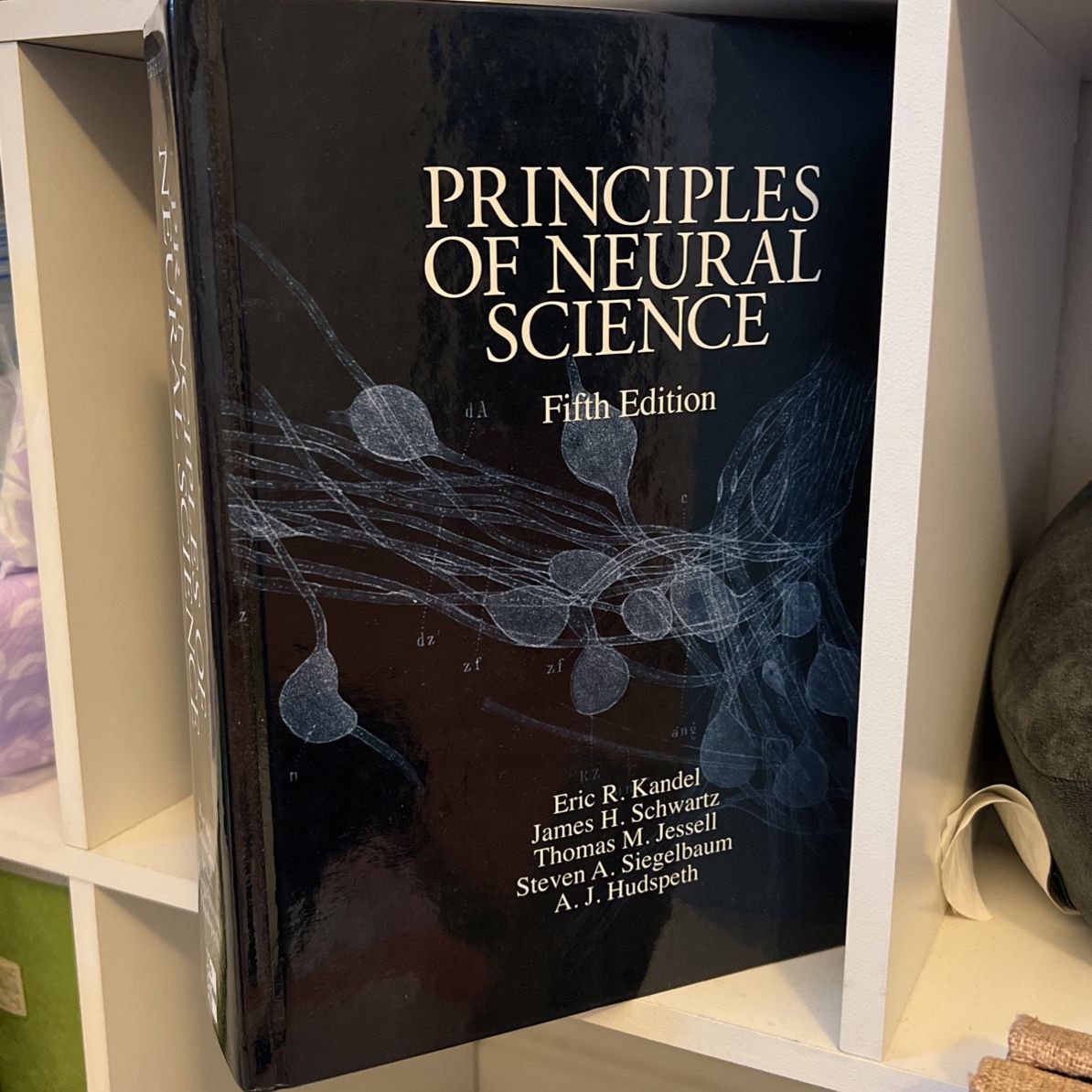 Principles of Neural Science, Fifth Edition (Kandel) 5th Edition for Sale  in City Of Industry, CA - OfferUp