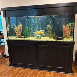 220 Gallon Aquarium 