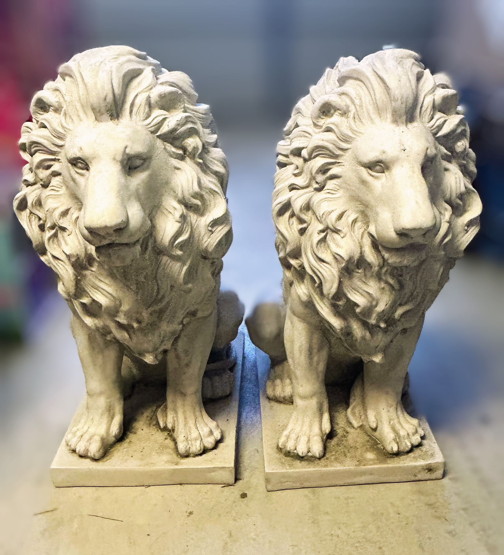 Majestic Lions