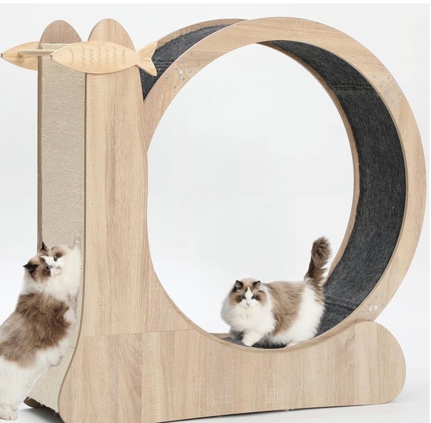 Cat Wheel,3-in-1 Cat Exercise Wheel,Upgraded Large Cat Wheels for Indoor Cats,41.3”H Cat Treadmill Cat Running Wheel Exercis