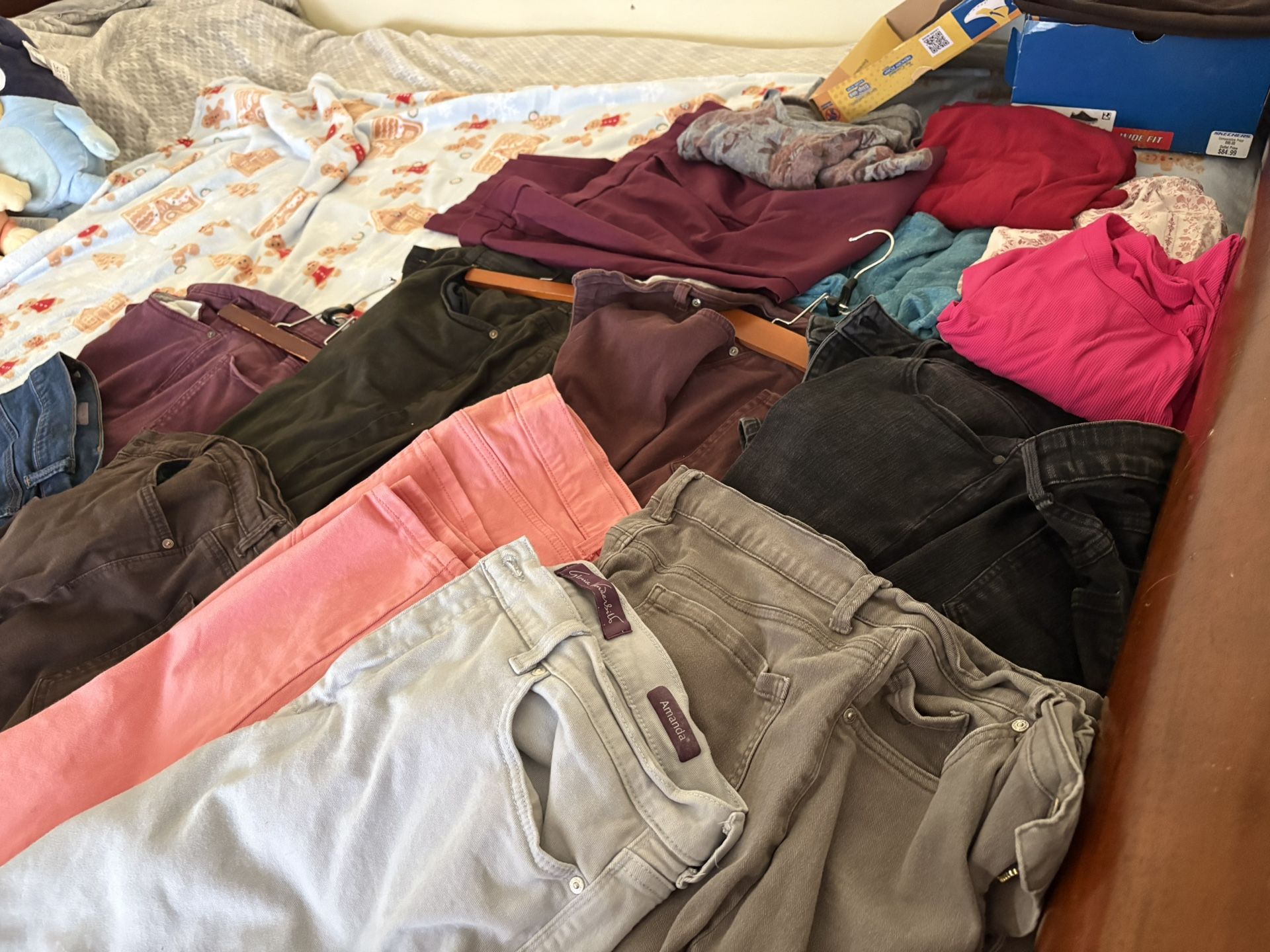 Woman’s Clothing Big Bag Full