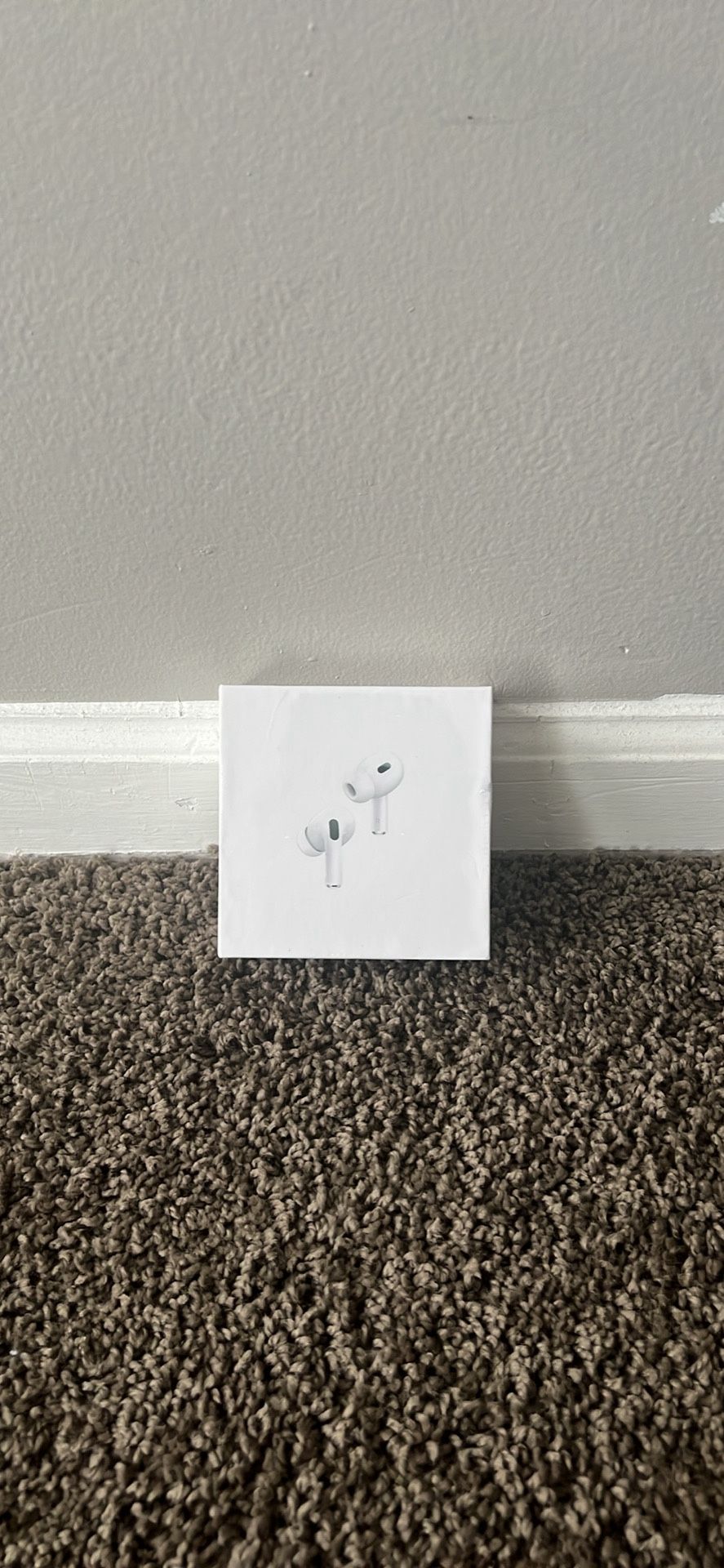 Air Pod Pro 2