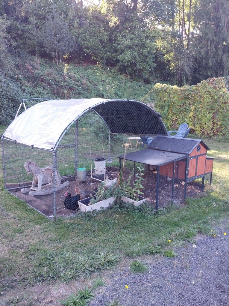 Chicken Coop