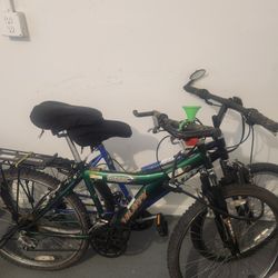 Two Bicycles for sale