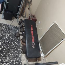 Total Gym WEIGHTS NOT INCLUDED 