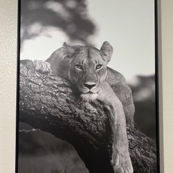 Lioness Decor