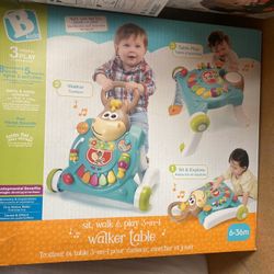 Baby Walker 