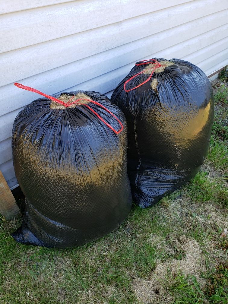 Free hay/ garden waste