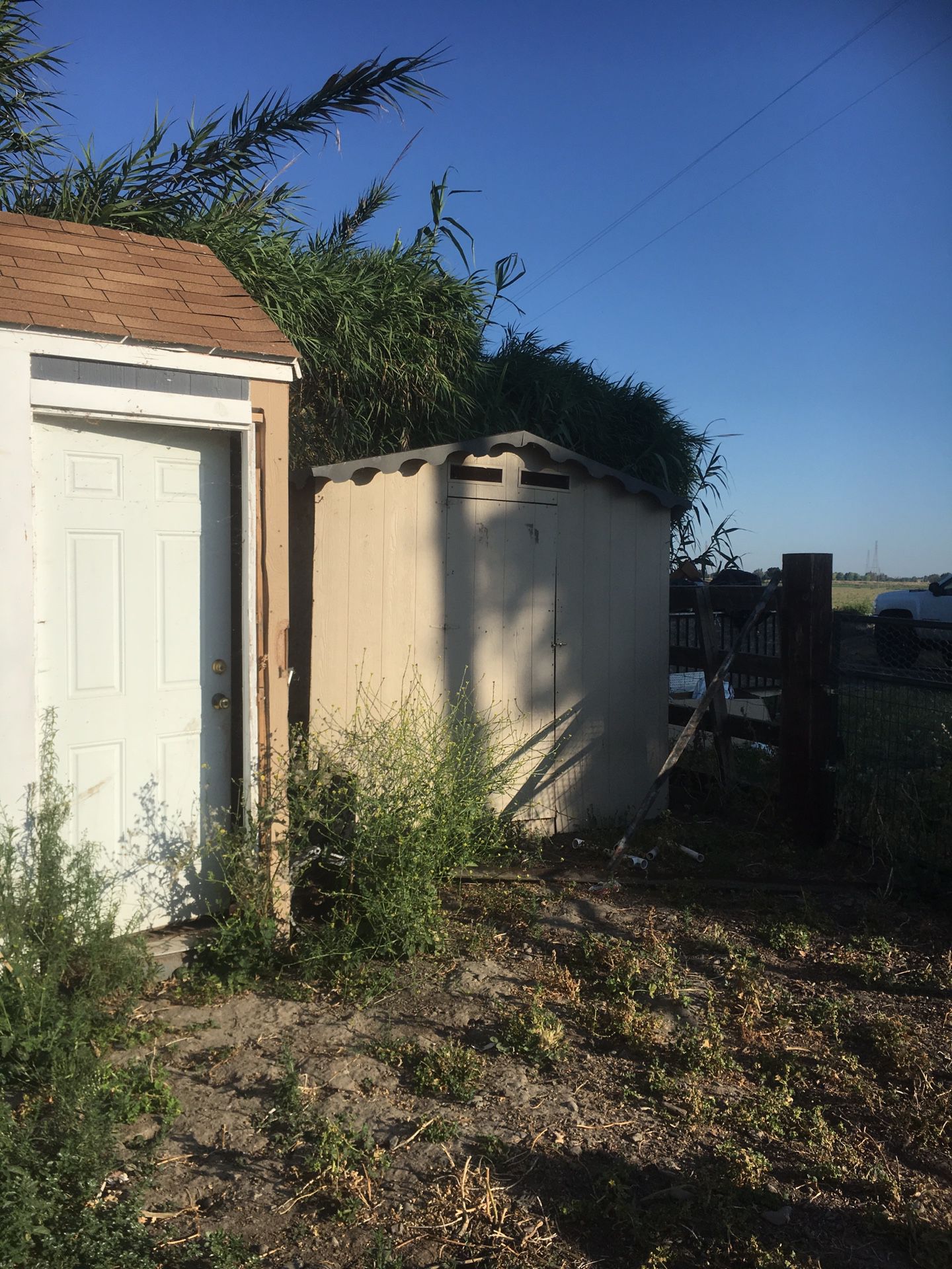 Two sheds need gone