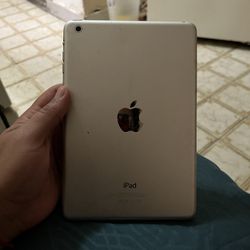 iPad 