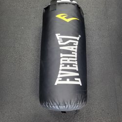 Used Everlast 40lbs Heavy Punching Bag 