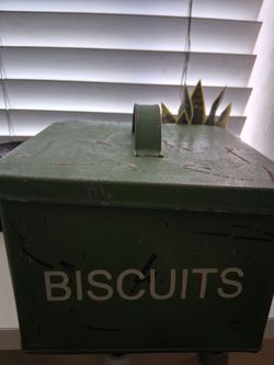 Two's Company Tin Canister Metal Green Rustic Farmhouse