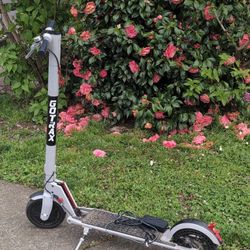 Gotrax XR Scooter