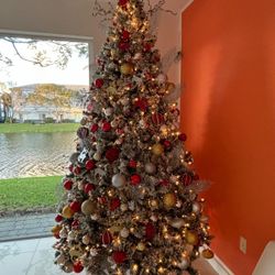 Beautiful Christmas Tree For Sale