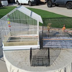 Bird Cages