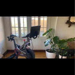 Peloton 2023 impeccable condition.