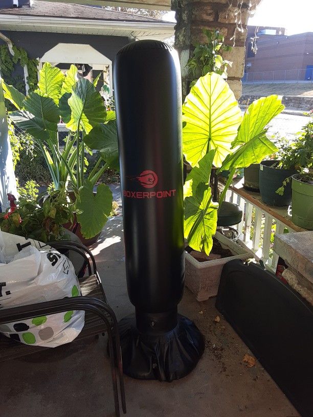 Boxer Point Punching Bag