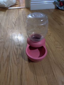 Pet Water Bowl